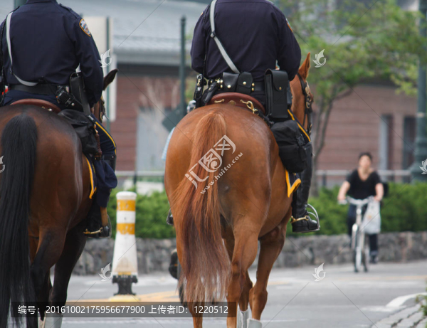 警察在馬背上