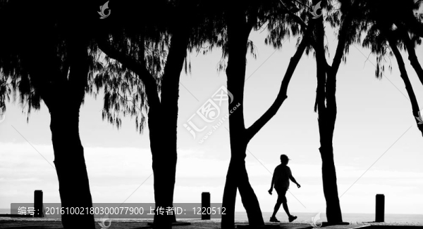 海邊的剪影