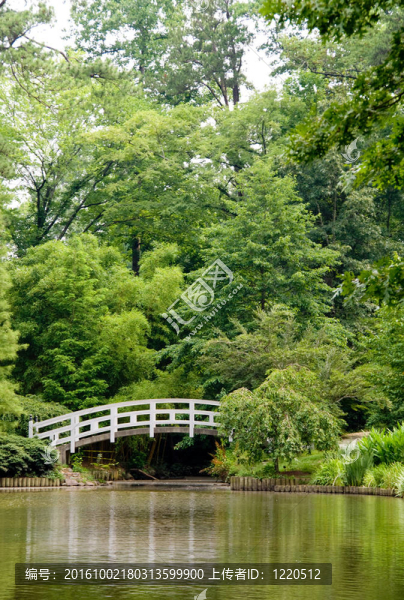 拱橋