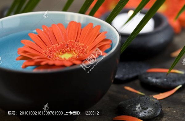 SPA的概念