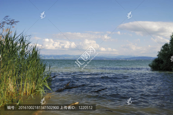 博登湖湖