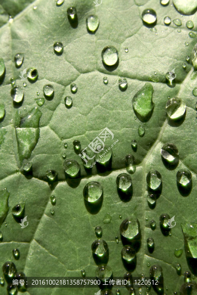 雨后