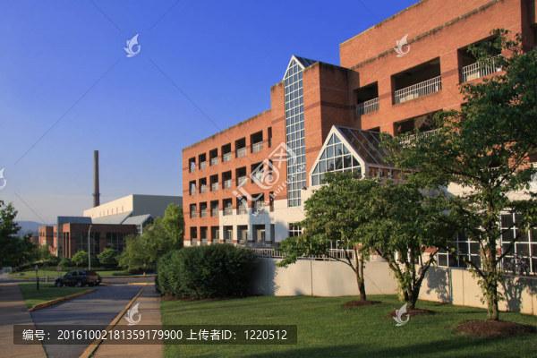 田納西大學(xué)校園