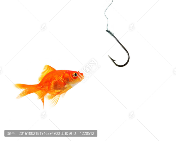 單金魚面臨空鉤