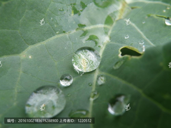 水滴