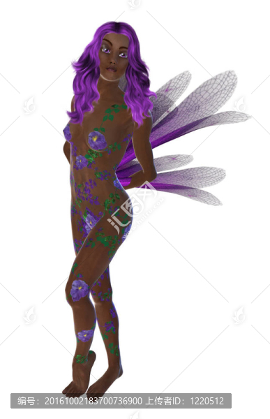 非洲美洲花仙女