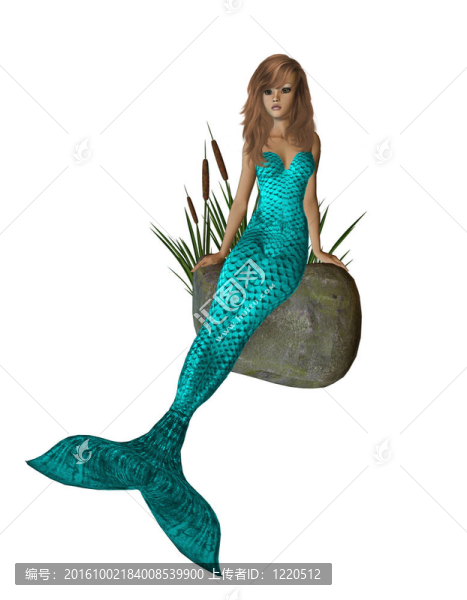 水上的美人魚坐在巖石上