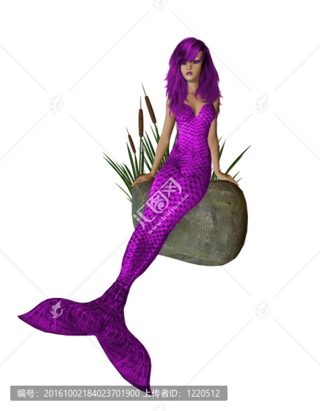 紫色美人魚(yú)坐在巖石上