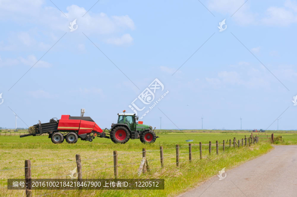 典型的荷蘭景觀