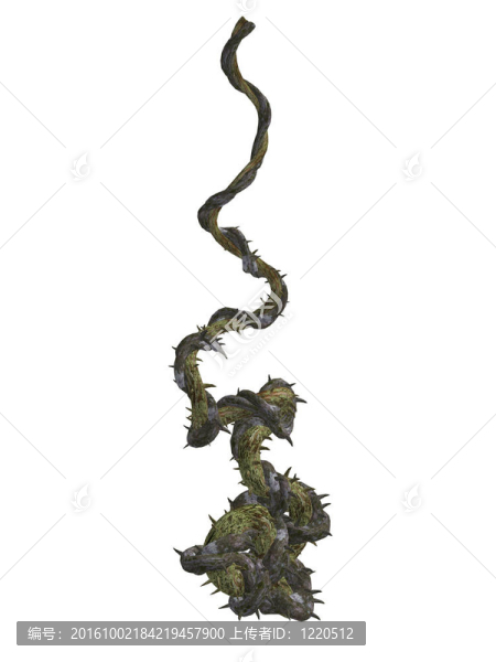 爬藤與荊棘