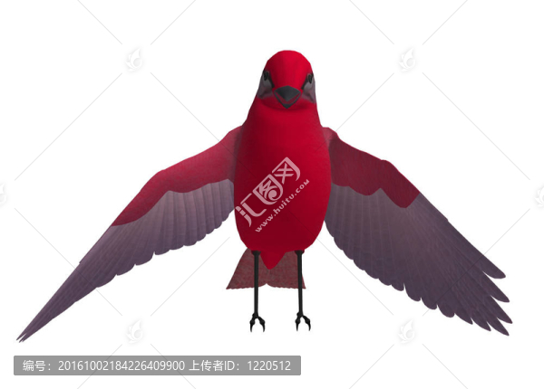 紅鳥