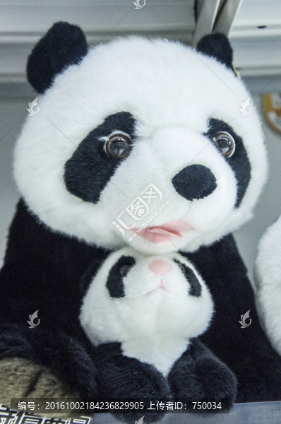 熊貓