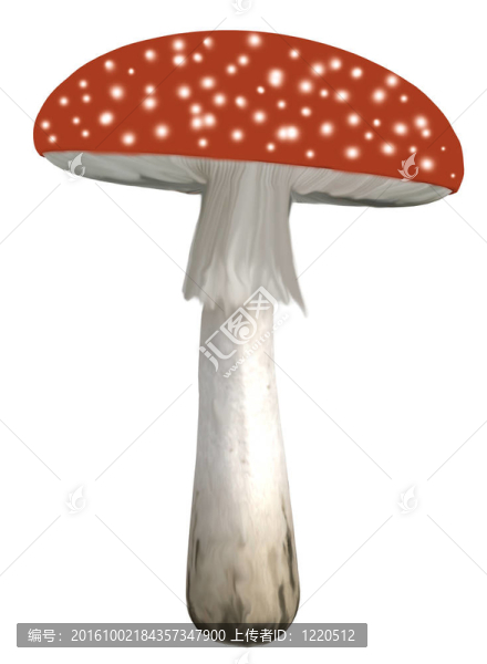 圓點的蘑菇