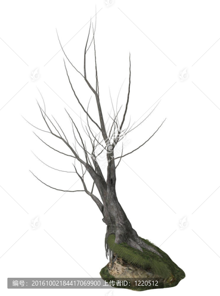 死樹(shù)