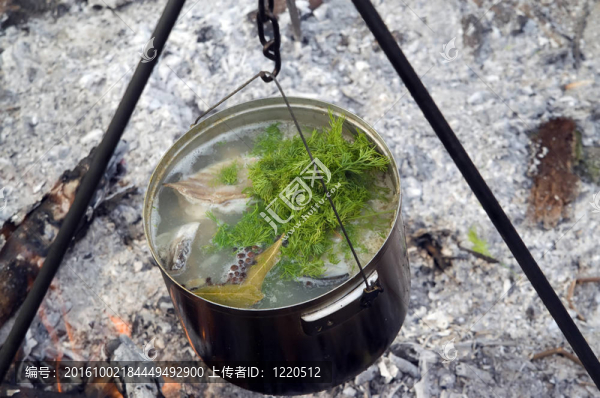 烹飪鍋中的魚(yú)湯