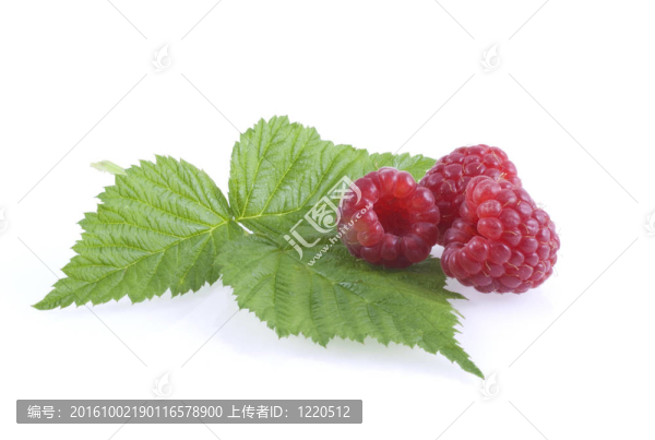 raspeberries和葉。
