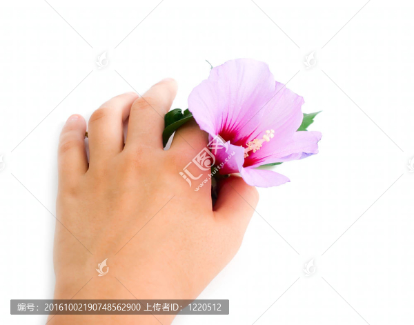 人類手上的花