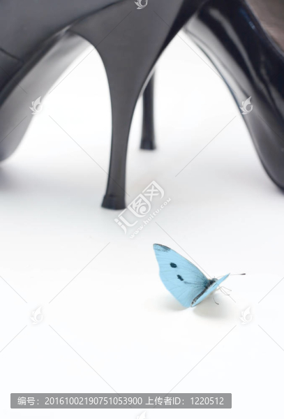 蝴蝶和女人鞋