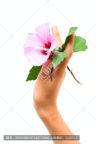 人類手上的花