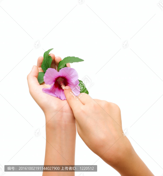 人類手上的花