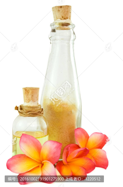溫泉項(xiàng)目和熱帶花卉