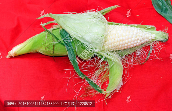 白色的玉米