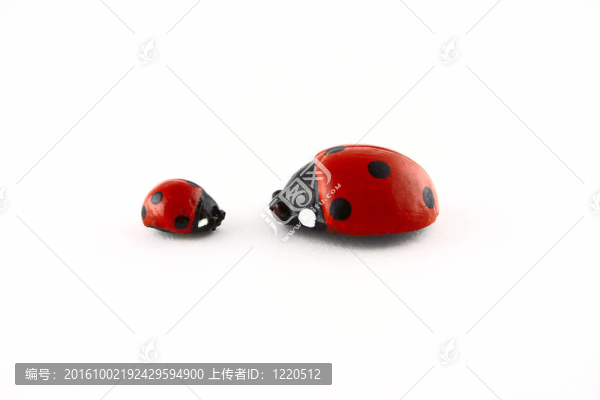 反對(duì)