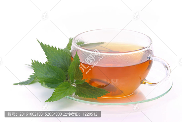 03茶蕁麻