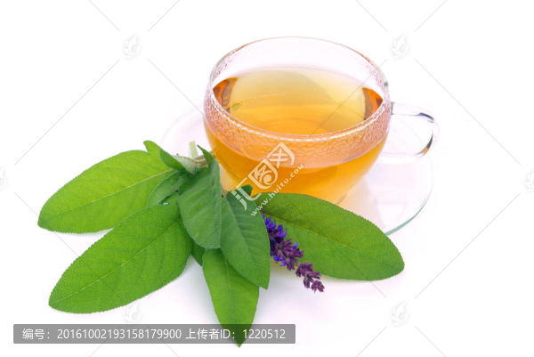 茶圣03