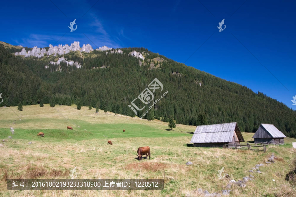 鄉(xiāng)村景觀