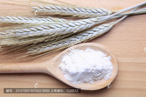 小麥和面粉