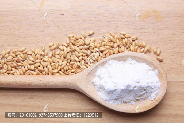 小麥和面粉