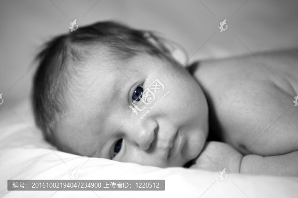 一個(gè)美麗的Baby,Boy黑白形象