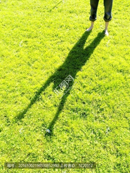 草地上的陰影