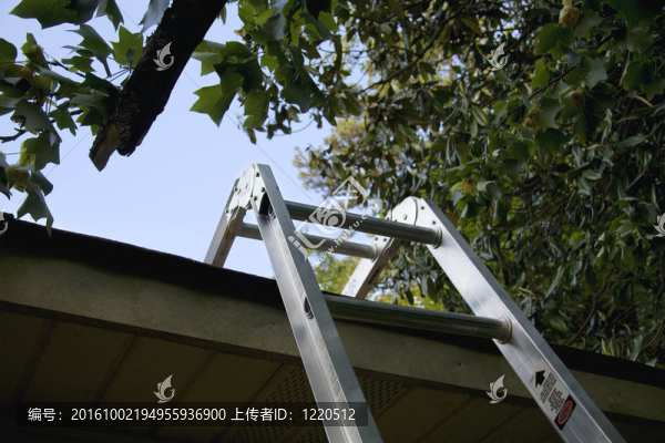 階梯