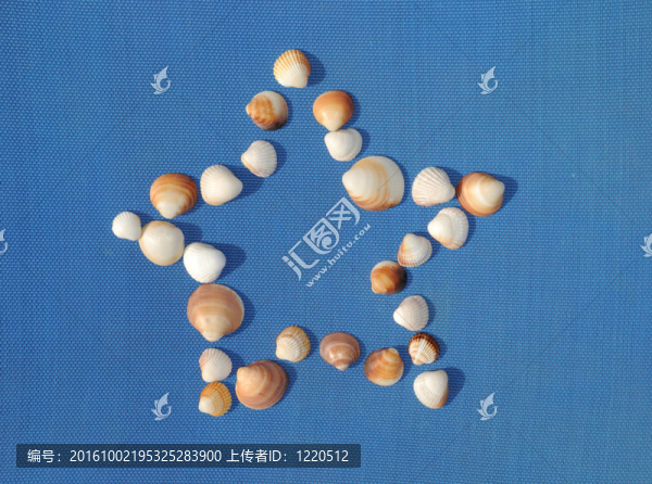 在陽光下的藍(lán)色椅子上的貝殼2