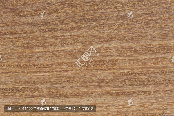 木材紋理
