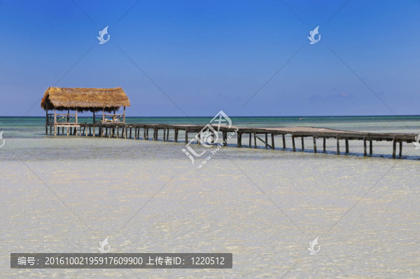 熱帶海灘度假勝地