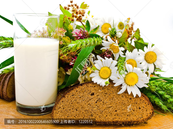 面包牛奶和洋甘菊