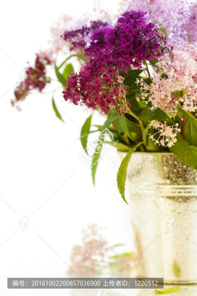 Bouqet的花