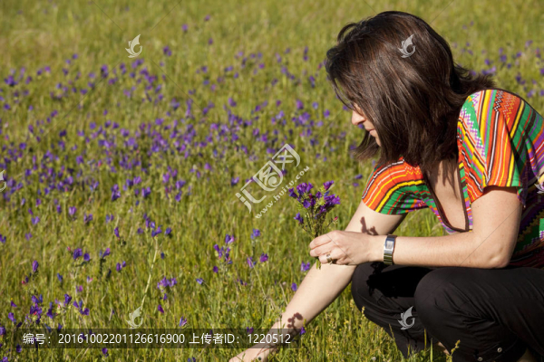 取一些新鮮的春天的花朵