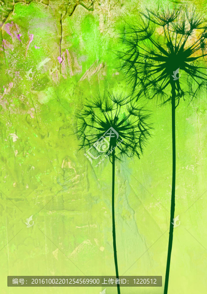 蒲公英花的插圖
