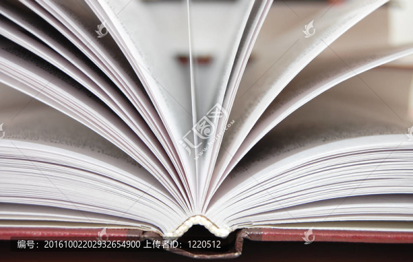 對(duì)其他書籍的公開書片段