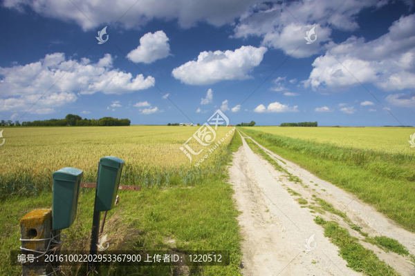 一條穿過綠色田野的空洞的夏天