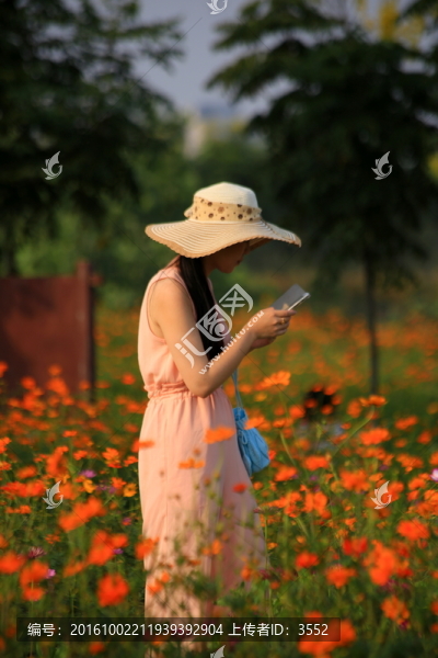 花海美女照