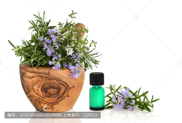 藥用和烹飪草藥