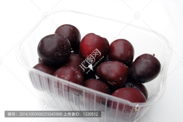 李子
