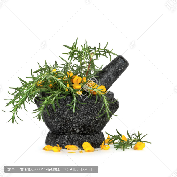 迷迭香和Gorse,Flowers