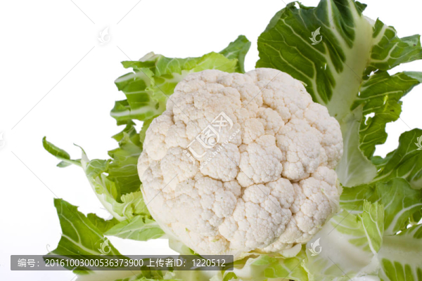 菜花