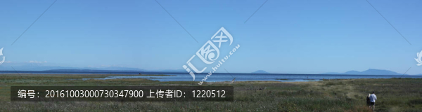 全景